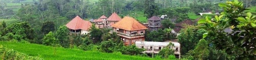 La Comida en el Ashram